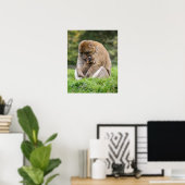 Niedliche Kleintiere | Barbary Macaque Family Poster (Heimbüro)