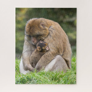 Niedliche Kleintiere Barbary Macaque Family Puzzle
