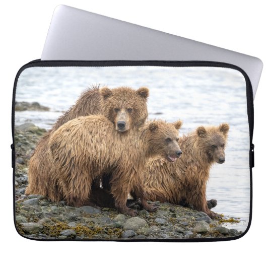 Niedliche Kleintiere | Bären und Kneipen Laptopschutzhülle (Vorderseite)
