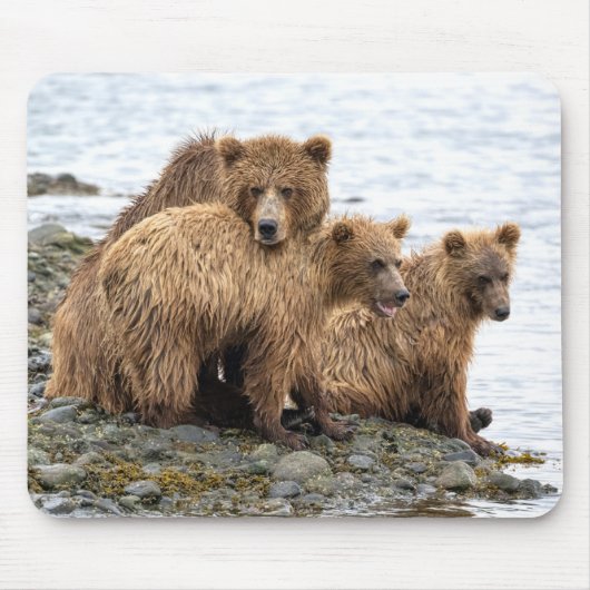 Niedliche Kleintiere | Bären und Kneipen Mousepad (Vorne)