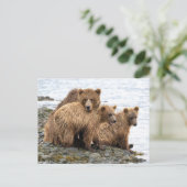 Niedliche Kleintiere | Bären und Kneipen Postkarte (Stehend Vorderseite)