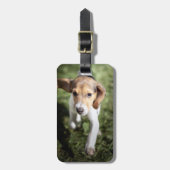 Niedliche Kleintiere | Beagle Welpe Gepäckanhänger (Vorderseite vertikal)