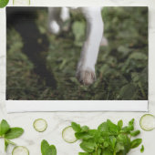 Niedliche Kleintiere | Beagle Welpe Geschirrtuch (Gefaltet)