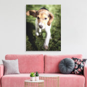 Niedliche Kleintiere | Beagle Welpe Leinwanddruck (Insitu (Wohnzimmer))