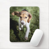 Niedliche Kleintiere | Beagle Welpe Mousepad (Mit Mouse)