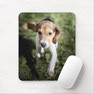 Niedliche Kleintiere   Beagle Welpe Mousepad