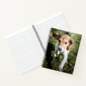 Niedliche Kleintiere | Beagle Welpe Notizblock (Innenseite)