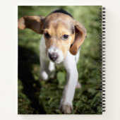 Niedliche Kleintiere | Beagle Welpe Notizblock (Rückseite)