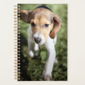 Niedliche Kleintiere | Beagle Welpe Planer (Vorderseite)