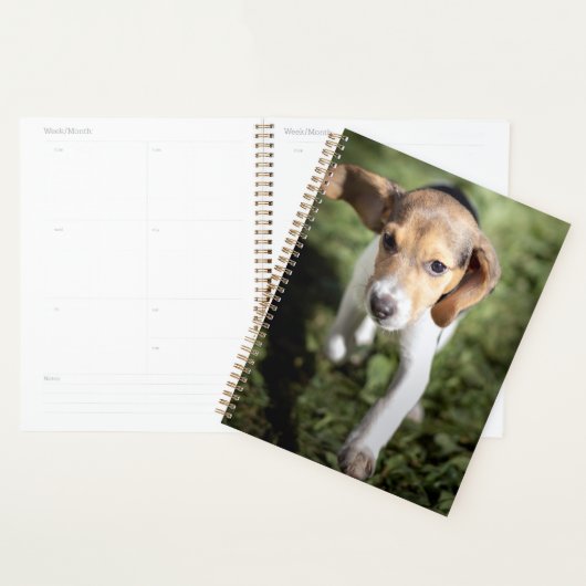 Niedliche Kleintiere | Beagle Welpe Planer (Anzeige)