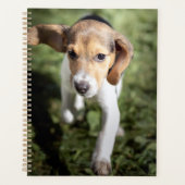 Niedliche Kleintiere | Beagle Welpe Planer (Vorderseite)