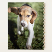 Niedliche Kleintiere | Beagle Welpe Planer (Rückseite)
