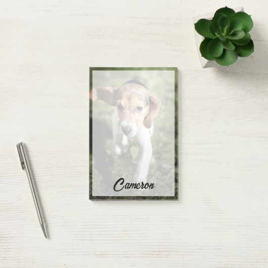Niedliche Kleintiere | Beagle Welpe Post-it Klebezettel (Büro)