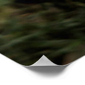 Niedliche Kleintiere | Beagle Welpe Poster (Ecke)