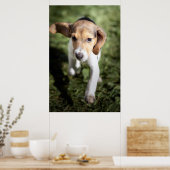 Niedliche Kleintiere | Beagle Welpe Poster (Küche)