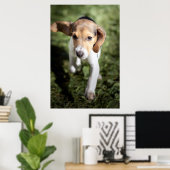 Niedliche Kleintiere | Beagle Welpe Poster (Heimbüro)