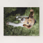 Niedliche Kleintiere | Beagle Welpe Puzzle (Horizontal)