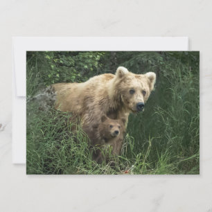 Niedliche Kleintiere Bear Mama Bear & Ihre Cubs Dankeskarte