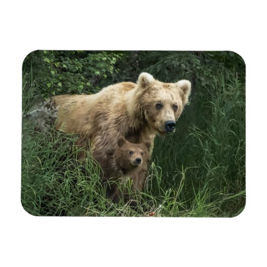 Niedliche Kleintiere | Bear Mama Bear & Ihre Cubs Magnet (Horizontal)