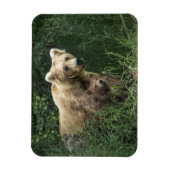 Niedliche Kleintiere | Bear Mama Bear & Ihre Cubs Magnet (Vertikal)