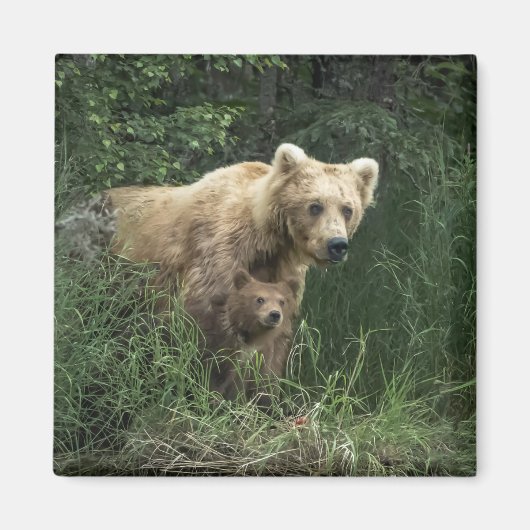 Niedliche Kleintiere | Bear Mama Bear & Ihre Cubs Magnet (Vorne)