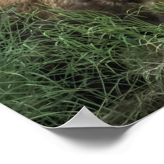 Niedliche Kleintiere | Bear Mama Bear & Ihre Cubs Poster (Ecke)