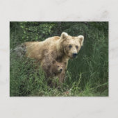 Niedliche Kleintiere | Bear Mama Bear & Ihre Cubs Postkarte (Vorderseite)