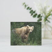 Niedliche Kleintiere | Bear Mama Bear & Ihre Cubs Postkarte (Stehend Vorderseite)