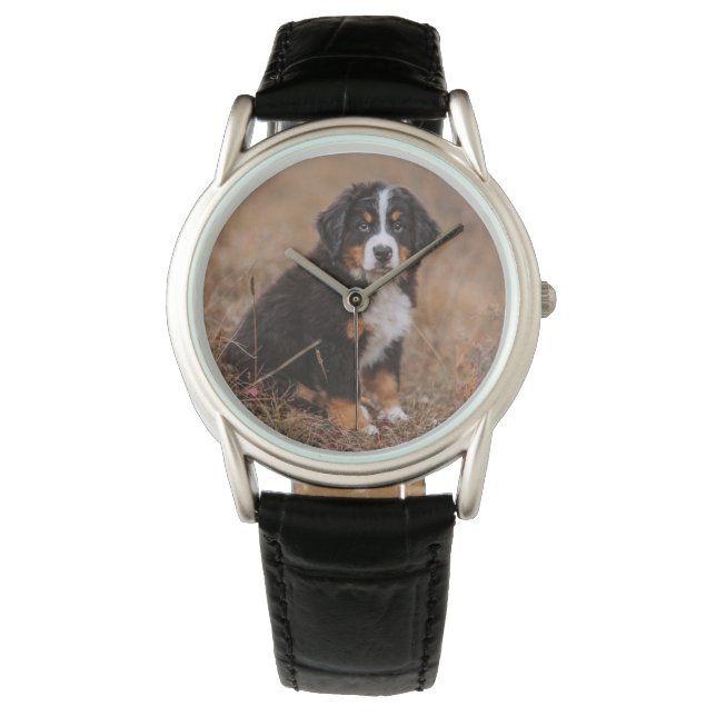 Niedliche Kleintiere | Bernese Mountain Dog Armbanduhr (Vorderseite)