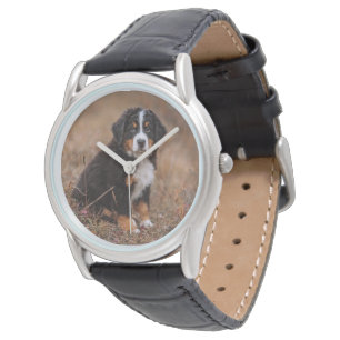 Niedliche Kleintiere Bernese Mountain Dog Armbanduhr