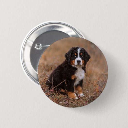 Niedliche Kleintiere | Bernese Mountain Dog Button (Vorne & Hinten)