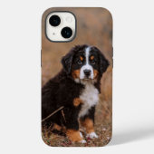 Niedliche Kleintiere | Bernese Mountain Dog Case-Mate iPhone Hülle (Rückseite)