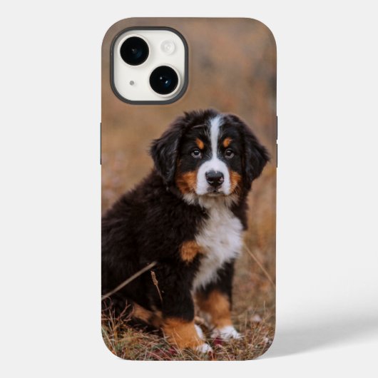 Niedliche Kleintiere | Bernese Mountain Dog Case-Mate iPhone Hülle (Rückseite)