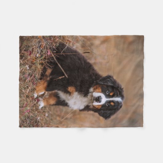 Niedliche Kleintiere | Bernese Mountain Dog Fleecedecke (Vorderseite (Horizontal))