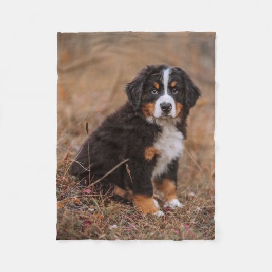 Niedliche Kleintiere | Bernese Mountain Dog Fleecedecke (Vorderseite)