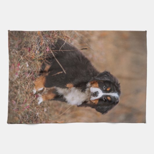 Niedliche Kleintiere | Bernese Mountain Dog Geschirrtuch (Horizontal)