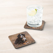 Niedliche Kleintiere | Bernese Mountain Dog Getränkeuntersetzer (Rechte Seite)