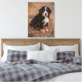 Niedliche Kleintiere | Bernese Mountain Dog Leinwanddruck (Insitu (Schlafzimmer))
