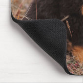 Niedliche Kleintiere | Bernese Mountain Dog Mousepad (Ecke)