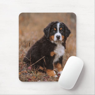 Niedliche Kleintiere   Bernese Mountain Dog Mousepad