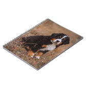 Niedliche Kleintiere | Bernese Mountain Dog Notizblock (Linke Seite)