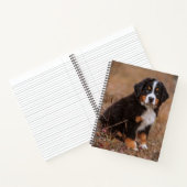 Niedliche Kleintiere | Bernese Mountain Dog Notizblock (Innenseite)