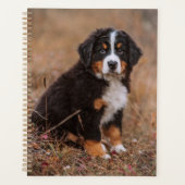 Niedliche Kleintiere | Bernese Mountain Dog Planer (Vorderseite)