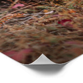 Niedliche Kleintiere | Bernese Mountain Dog Poster (Ecke)