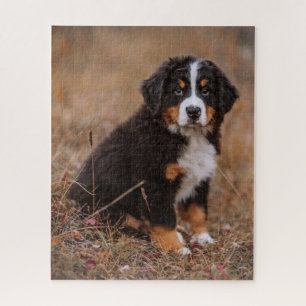 Niedliche Kleintiere Bernese Mountain Dog Puzzle