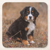 Niedliche Kleintiere | Bernese Mountain Dog Rechteckiger Pappuntersetzer (Vorderseite)