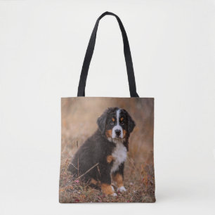 Niedliche Kleintiere   Bernese Mountain Dog Tasche