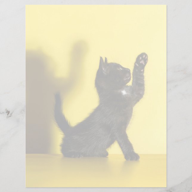 Niedliche Kleintiere | Black Cat Playing (Vorderseite)