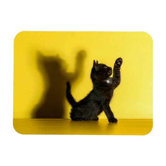 Niedliche Kleintiere | Black Cat Playing Magnet (Horizontal)