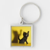 Niedliche Kleintiere | Black Cat Playing Schlüsselanhänger (Vorne)